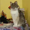 Отзыв от Софья Дубровина